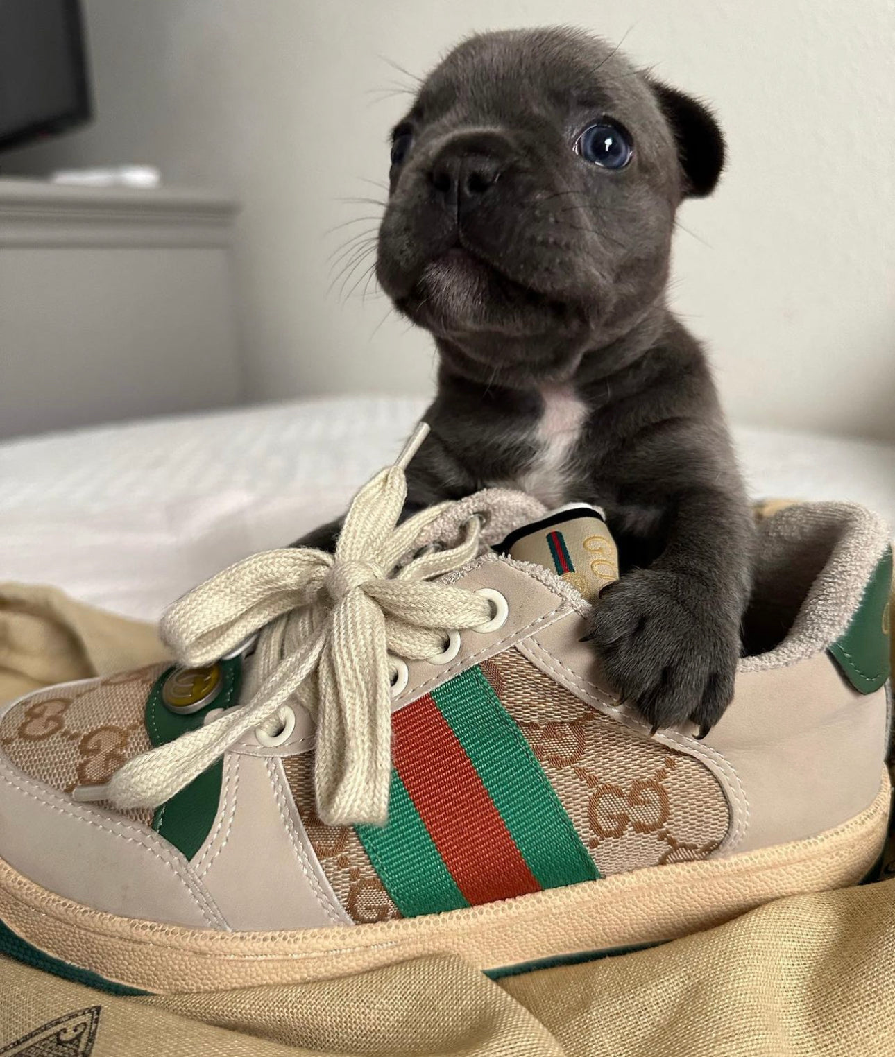 Kids shoes