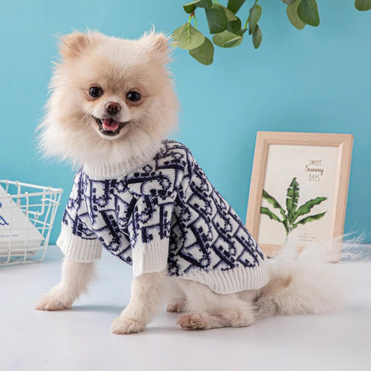 Dog outfit