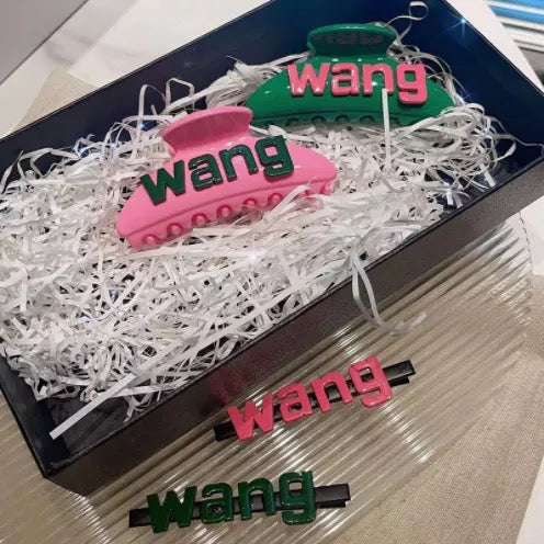Wang hair clips 2 pieces