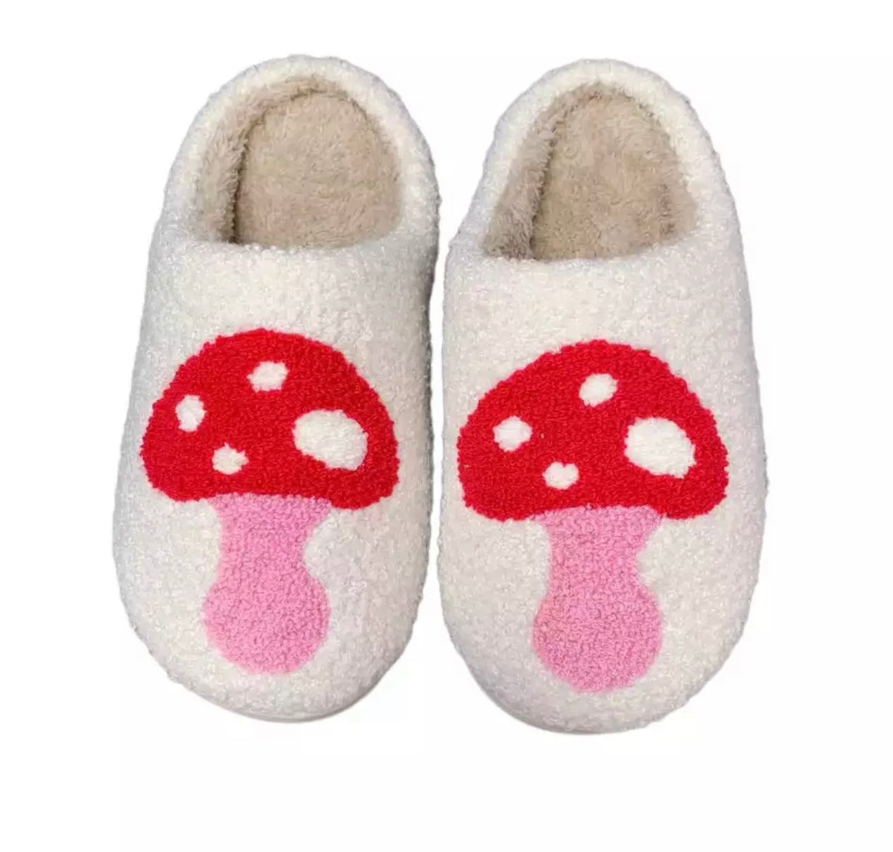 Adult slides